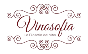Diseño sin título - 2025-06-17T131830.726